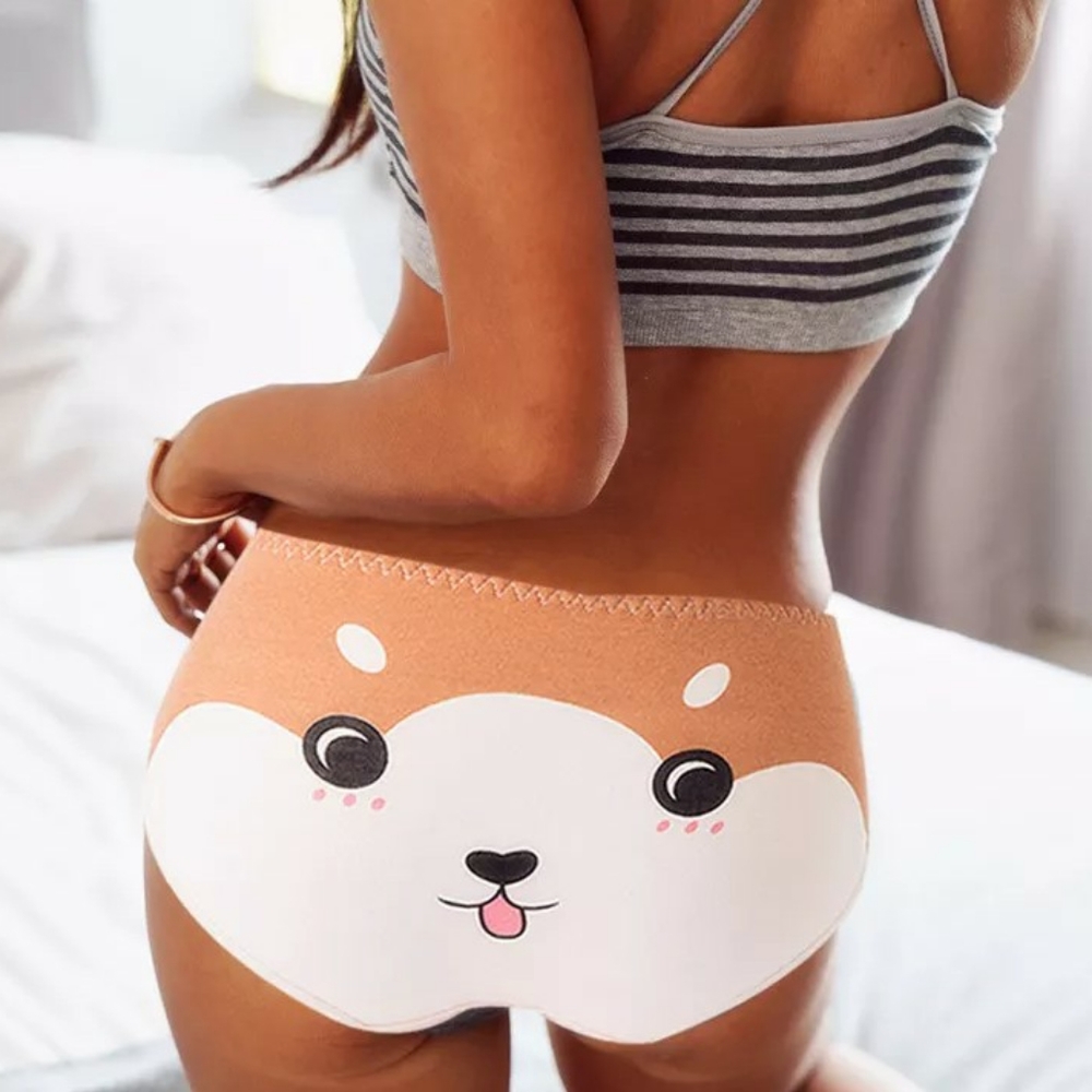 4 Size large brand new unique panties